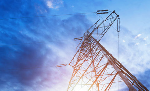 品牌型網(wǎng)站案例-無錫天能電器